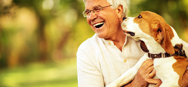 Man playing with dog